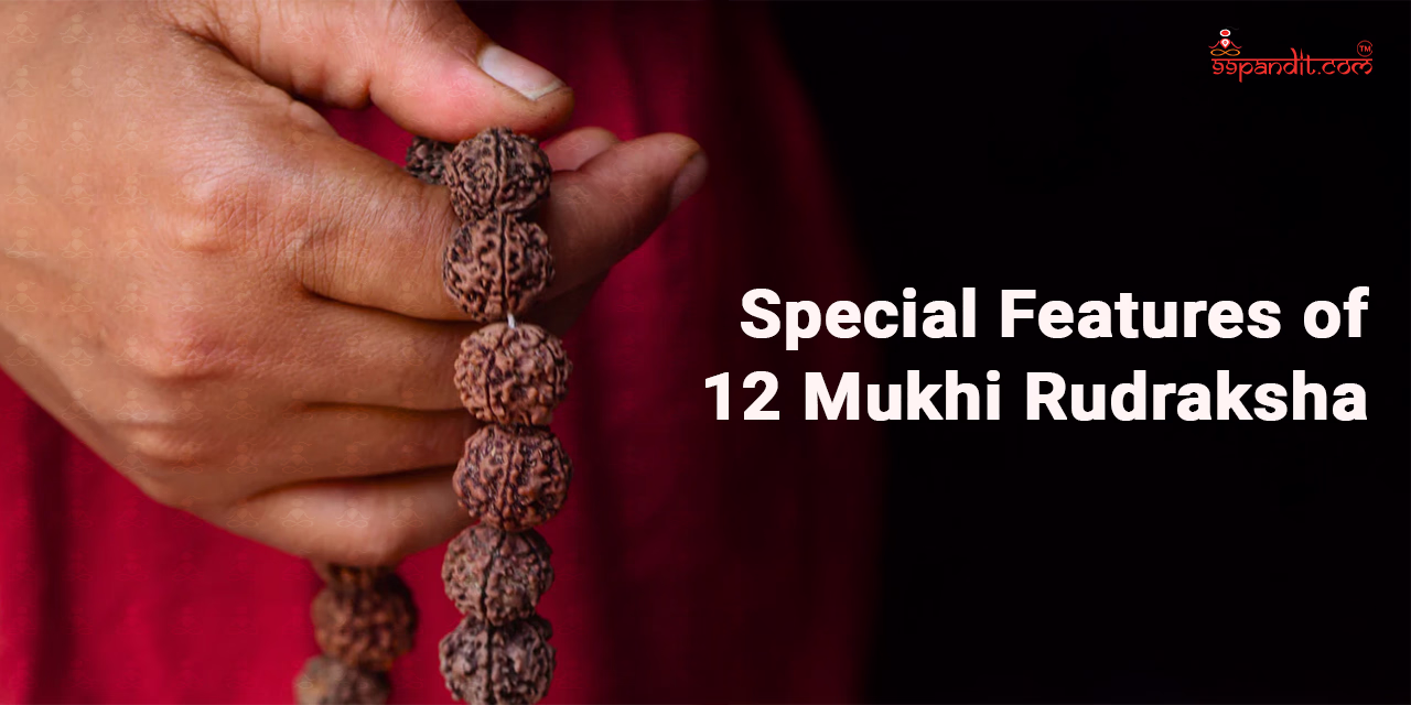 12 Mukhi Rudraksha