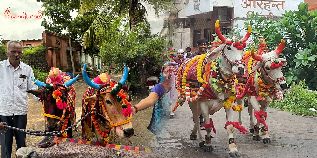 Bail-Pola-Festival-2