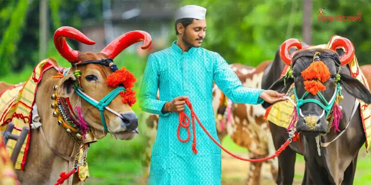 Bail-Pola-Festival