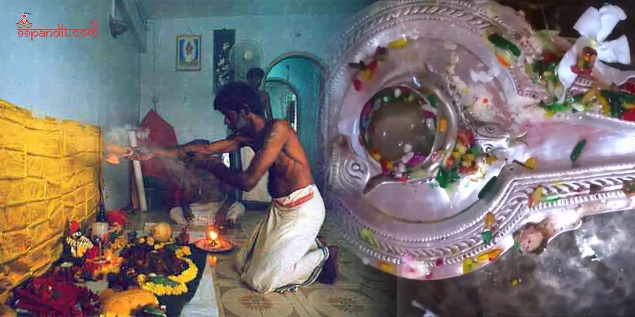 Hasta Nakshatra Shanti Puja