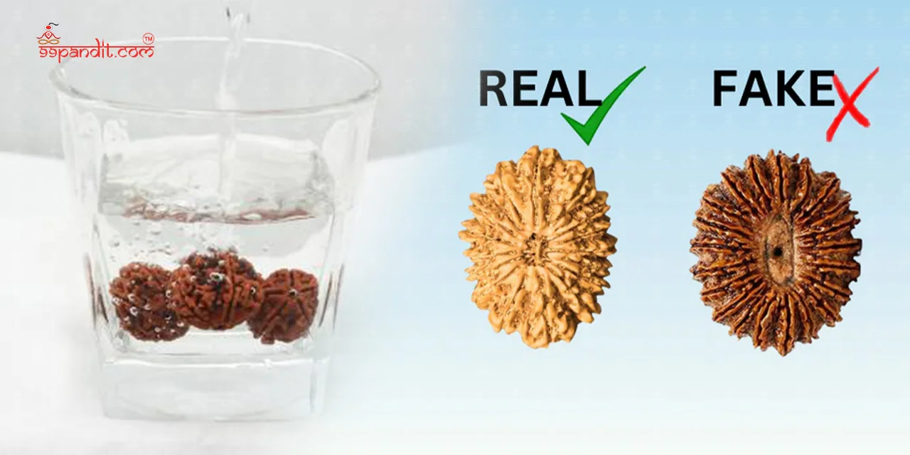 How to Identify Original Rudraksha