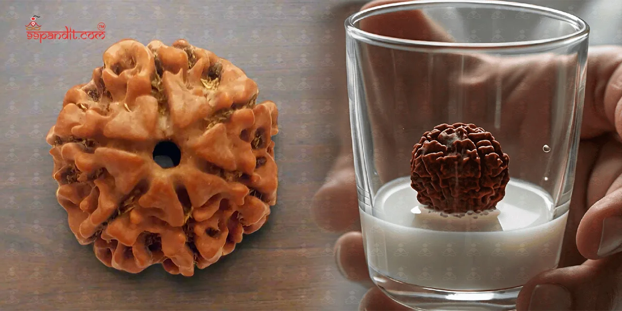 How to Identify Original Rudraksha