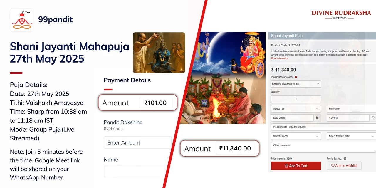 Online Shani Jayanti Puja