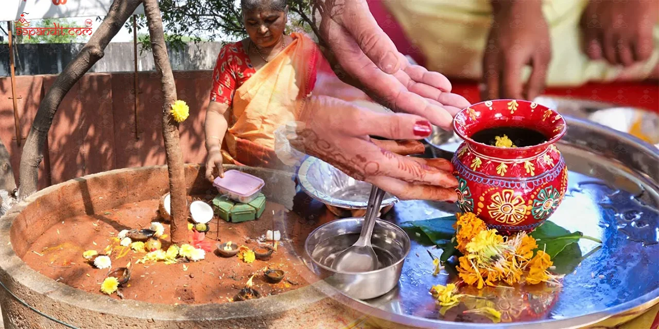 Purva Phalguni Nakshatra Shanti Puja