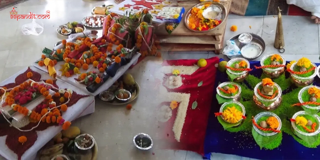 Purvashada Nakshatra Shanti Puja