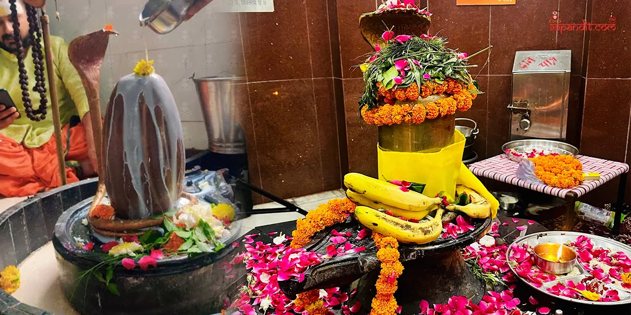 Rudrabhishek Puja at Trimbakeshwar