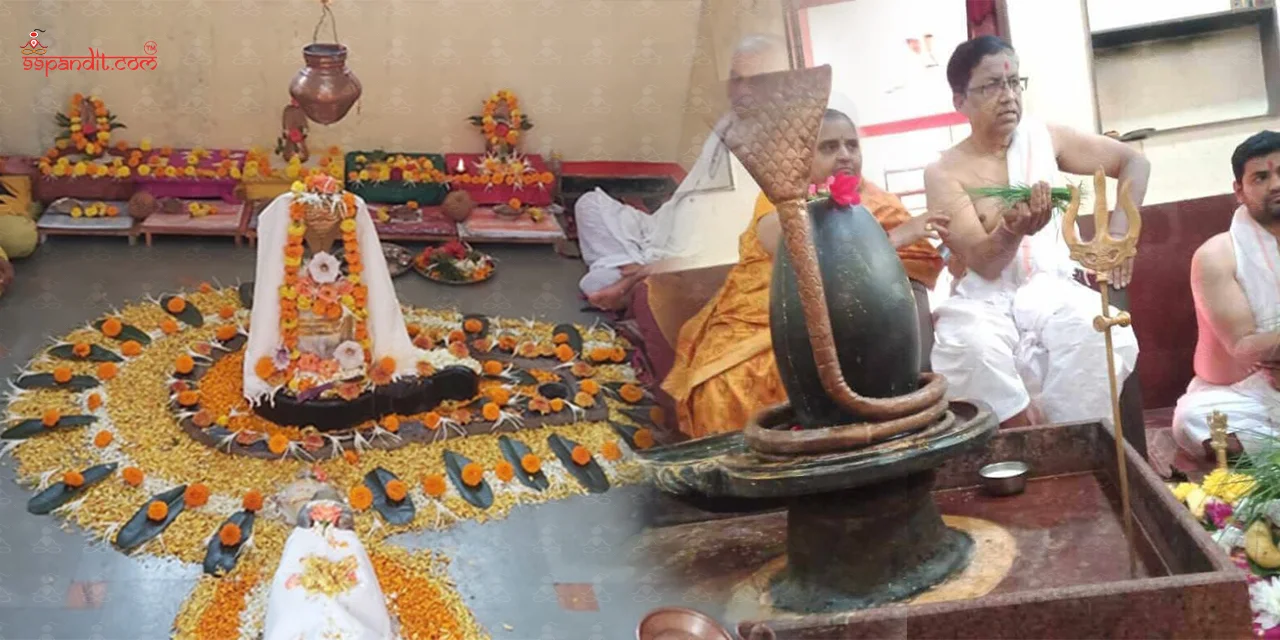 Rudrabhishek Puja at Trimbakeshwar