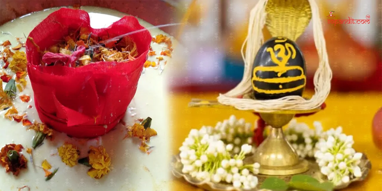 Rudrabhishek Puja in Canada