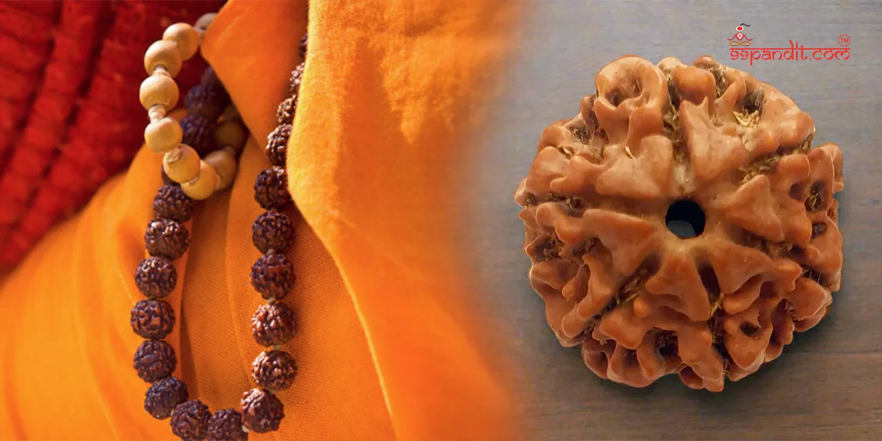 Rudraksha-Tree-5