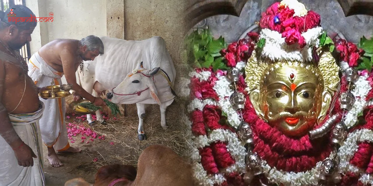 Samaradhanai Pooja
