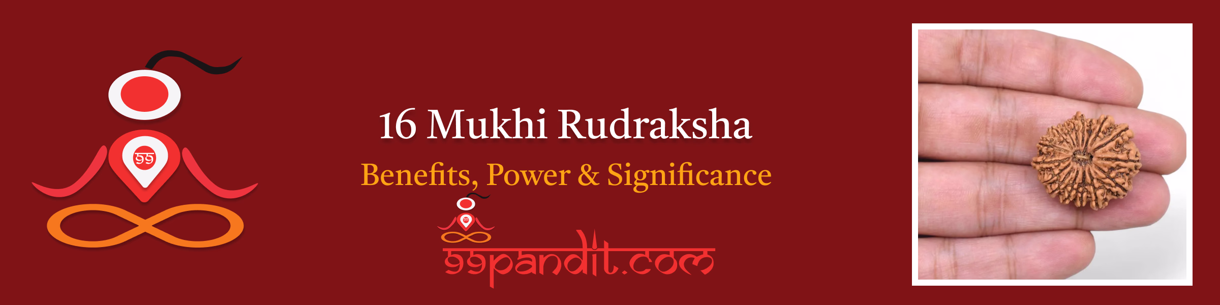 16 Mukhi Rudraksha