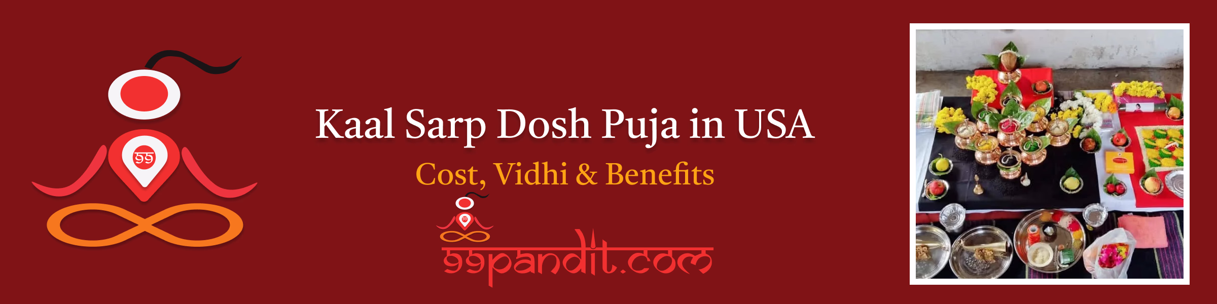 Kaal Sarp Dosh Puja in USA