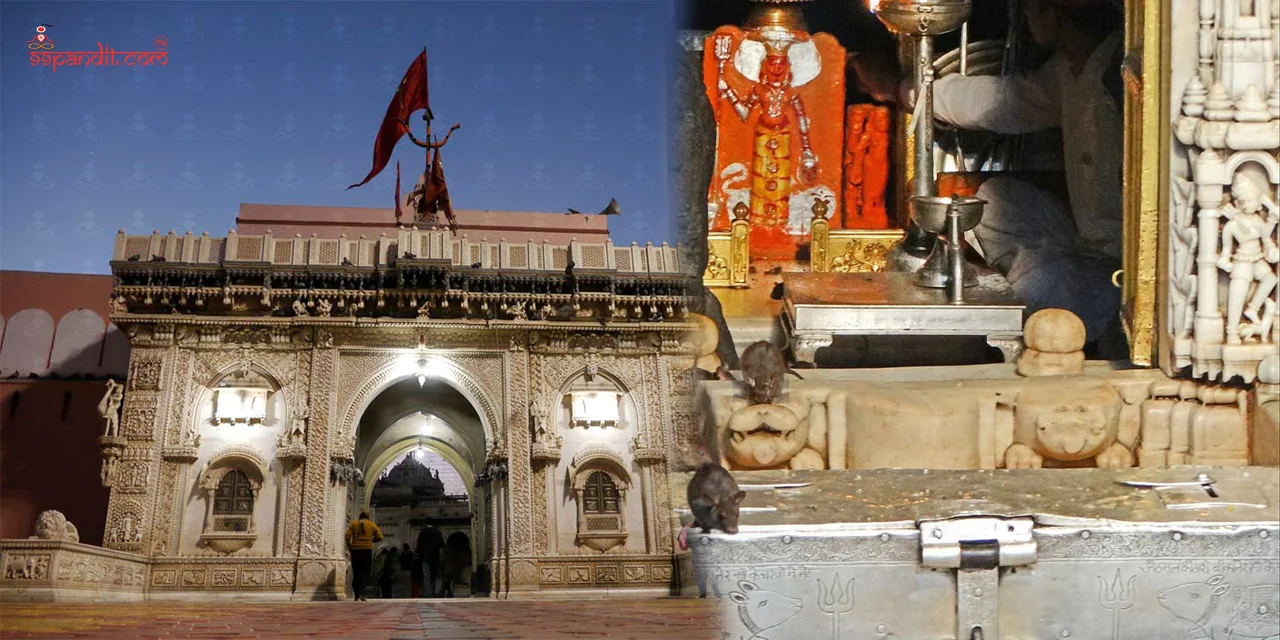 Karni Mata Temple