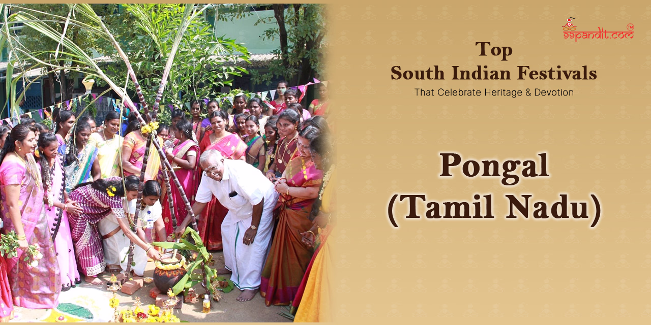 South Indian Festivals